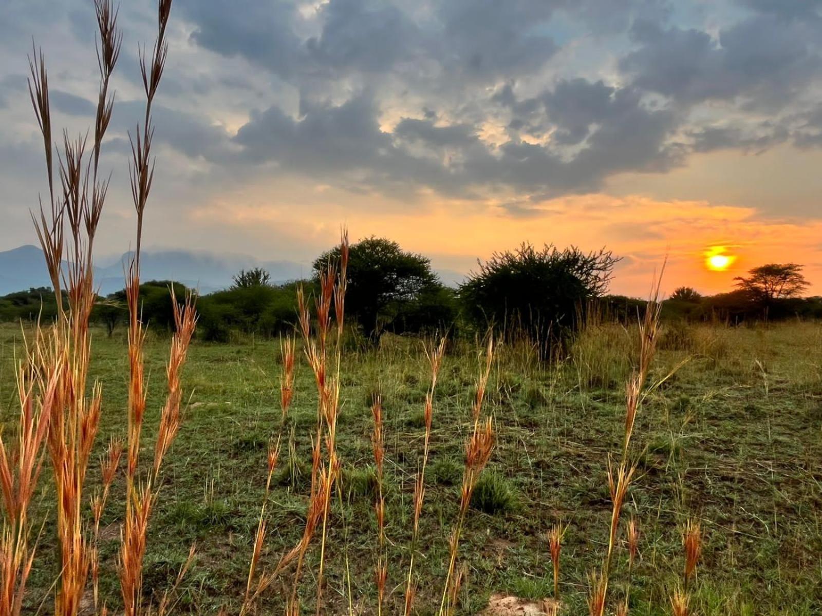Thabazimbi Bushveld Self Catering Accommodation Eksteriør bilde